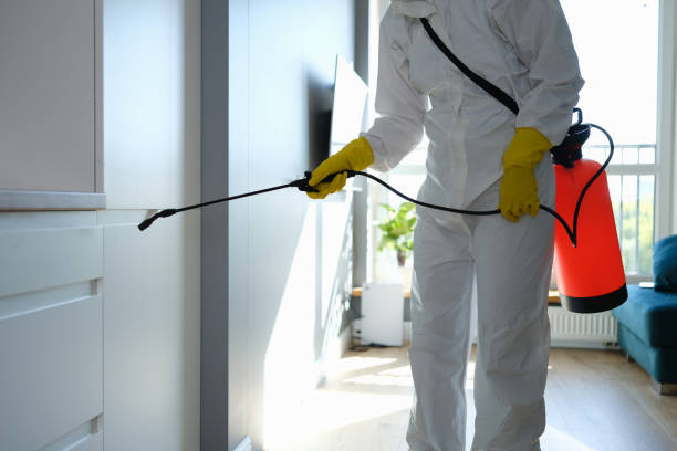 Best Fumigation Services  in Montpelier, OH